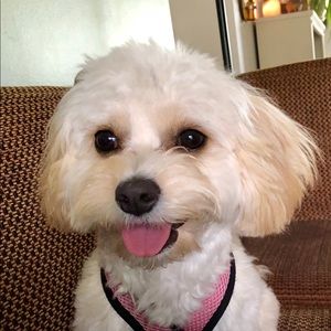 Meet your Posher, Lori